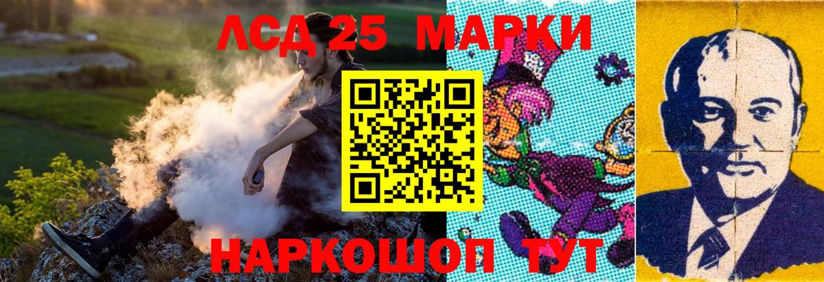 APVP Заинск