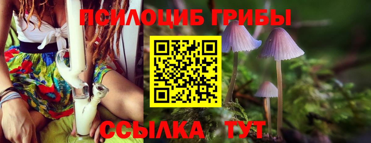 Галлюциногенные грибы мухоморы Заинск